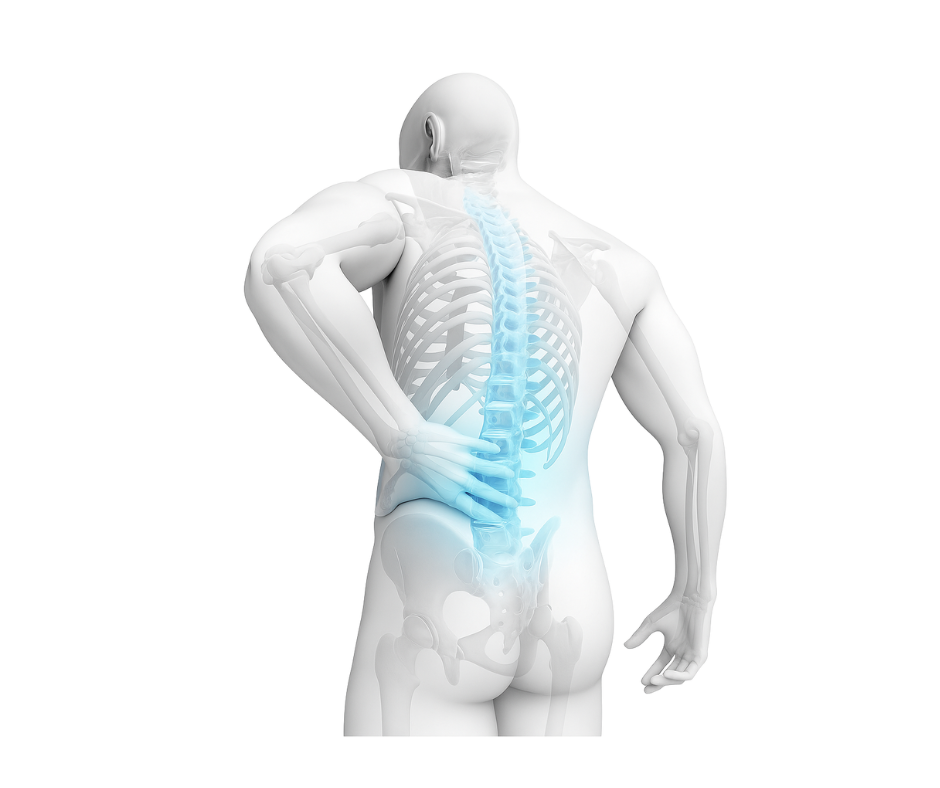 Pain in the back showing in blue color